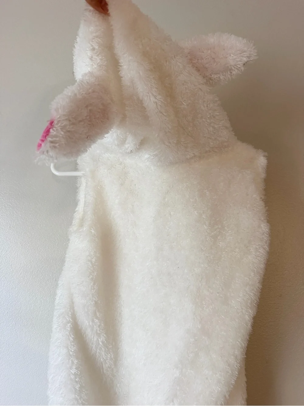 N/A baby lamb